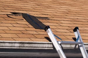 winter roof issues